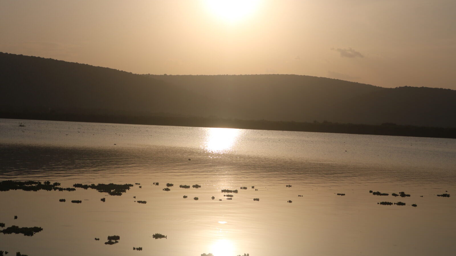 6-Day Entebbe to Bwindi Overland Safari Package