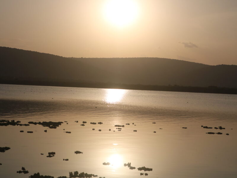 6-Day Entebbe to Bwindi Overland Safari Package