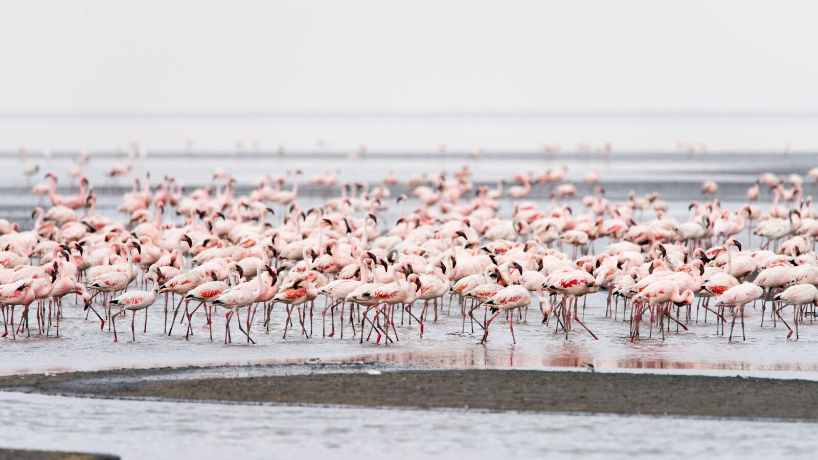 5-Day Rift Valley Lakes Safari, Tanzania