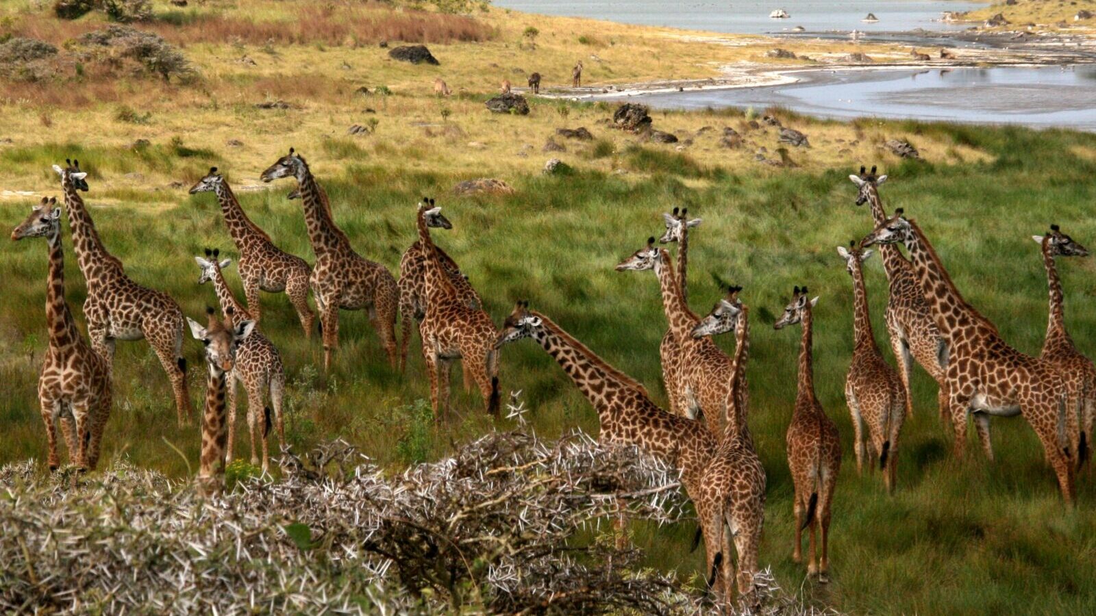 3-Day Arusha and Lake Manyara Short Safari
