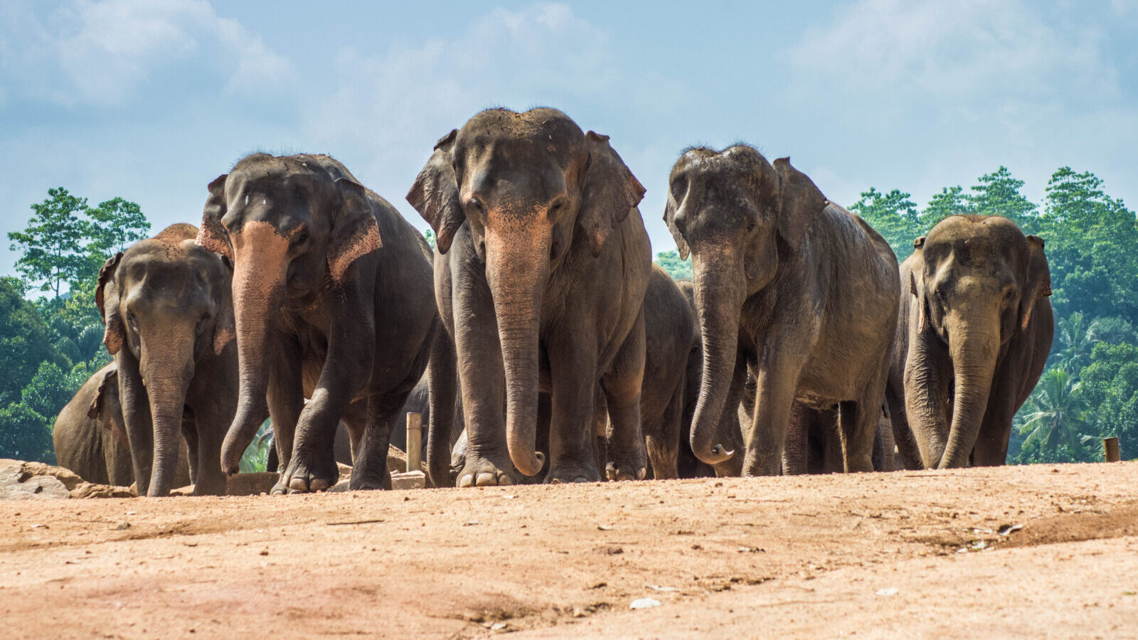 11-Day East Africa Multi-Generational Journey Package
