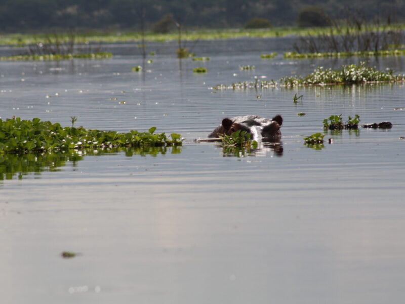 9-Day East African Rift Explorer Package