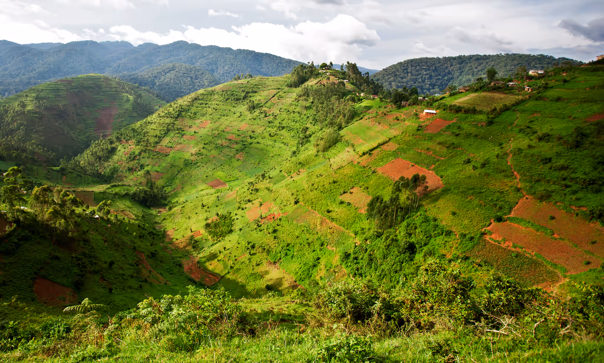 How Do I Get From Kigali to Bwindi Impenetrable National Park?