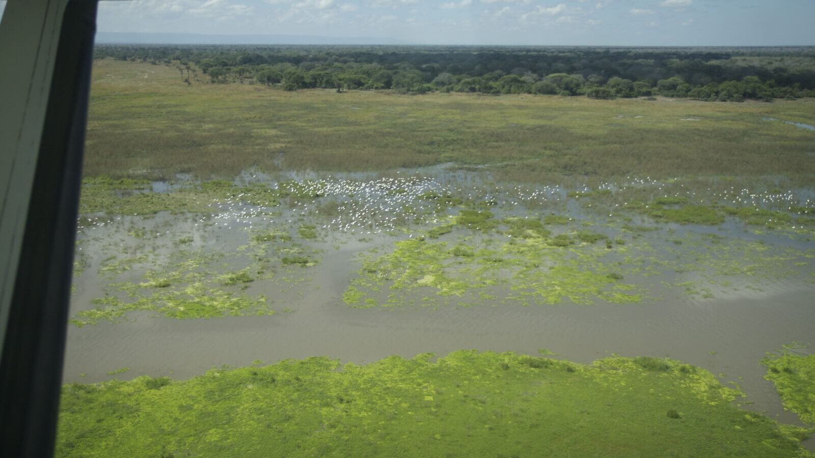 10-Day Western Tanzania Chimpanzee and Wildlife Package