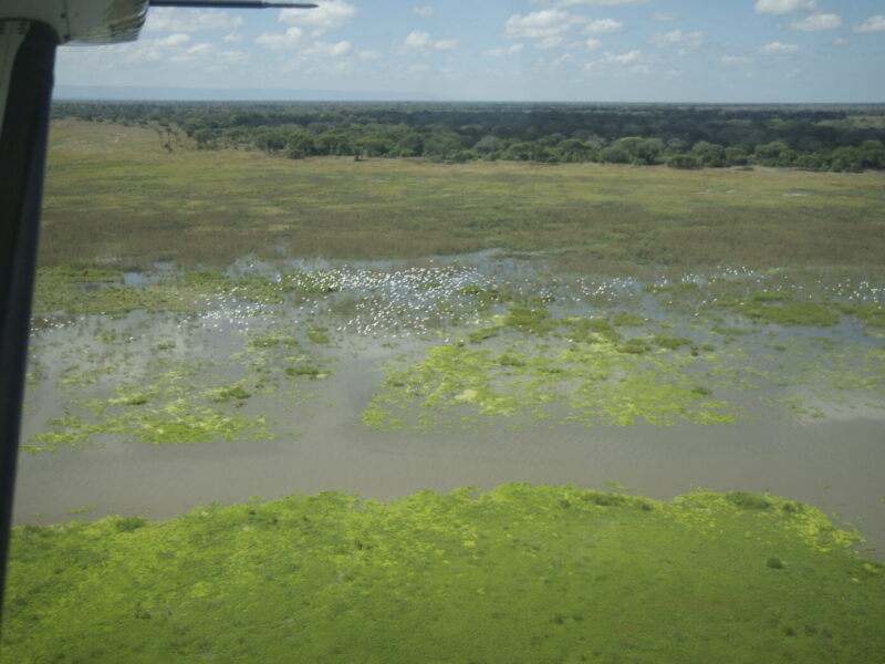 10-Day Western Tanzania Chimpanzee and Wildlife Package