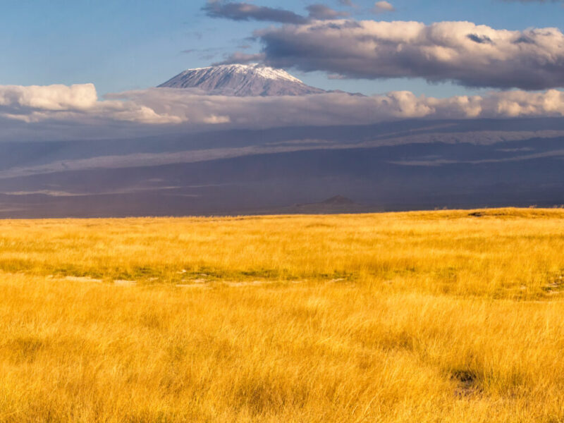 9-Day Serengeti Migration and Kilimanjaro Climb Combo