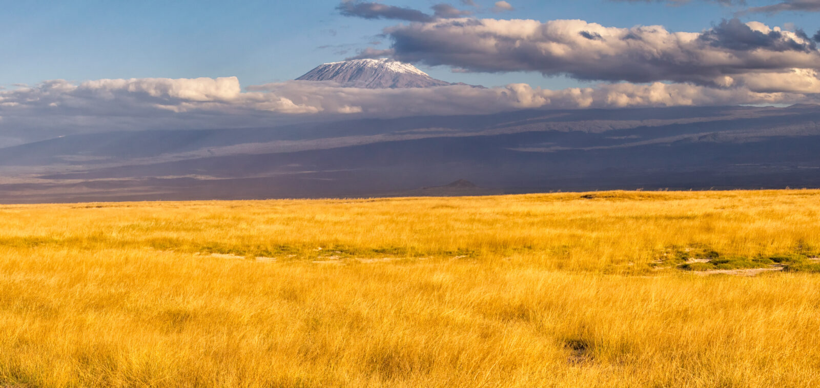 9-Day Serengeti Migration and Kilimanjaro Climb Combo