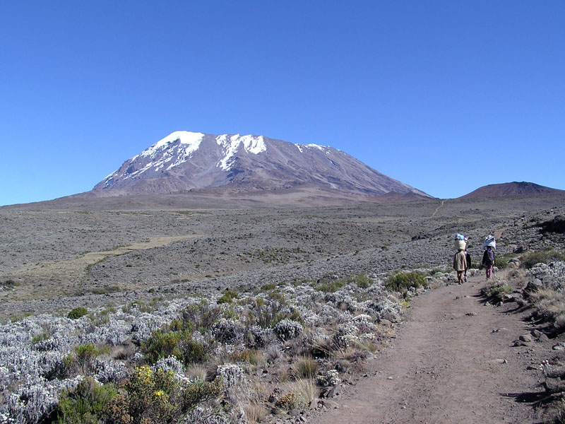 18-Day East Africa Explorer: Gorillas, Migration, Kilimanjaro and Beach
