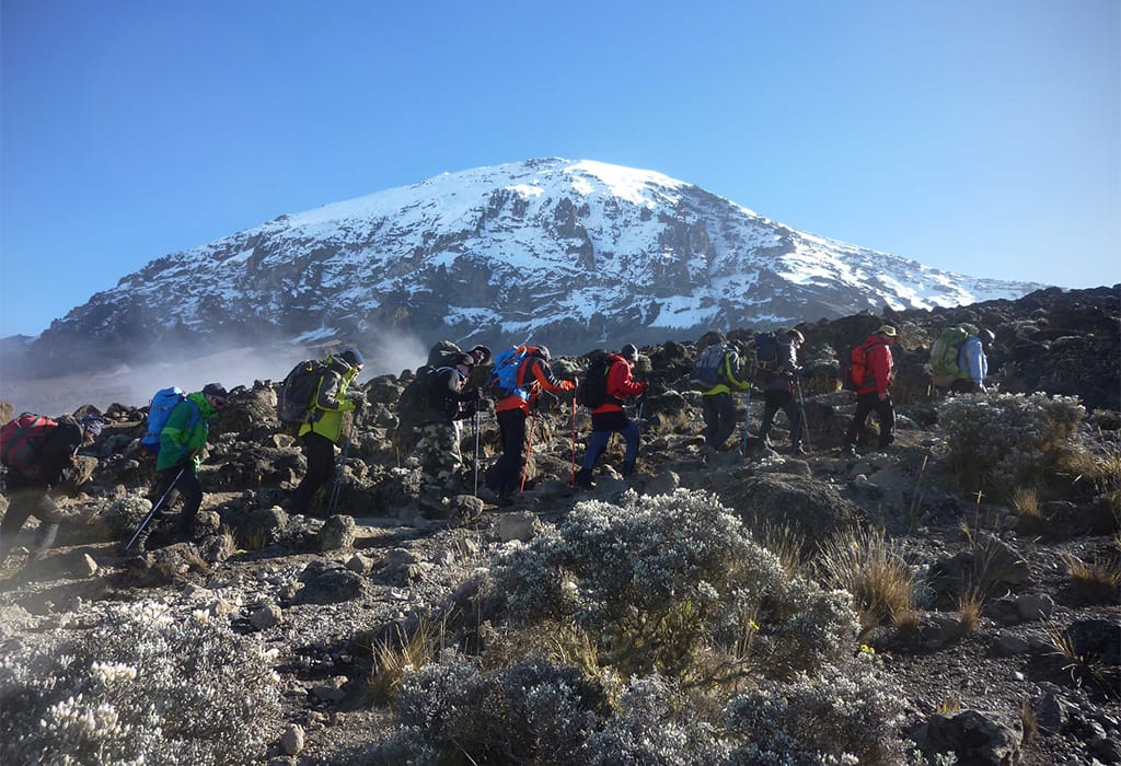 Rwenzori Glaciers: Will Africa’s Equatorial Ice Cap Survive Climate Change?