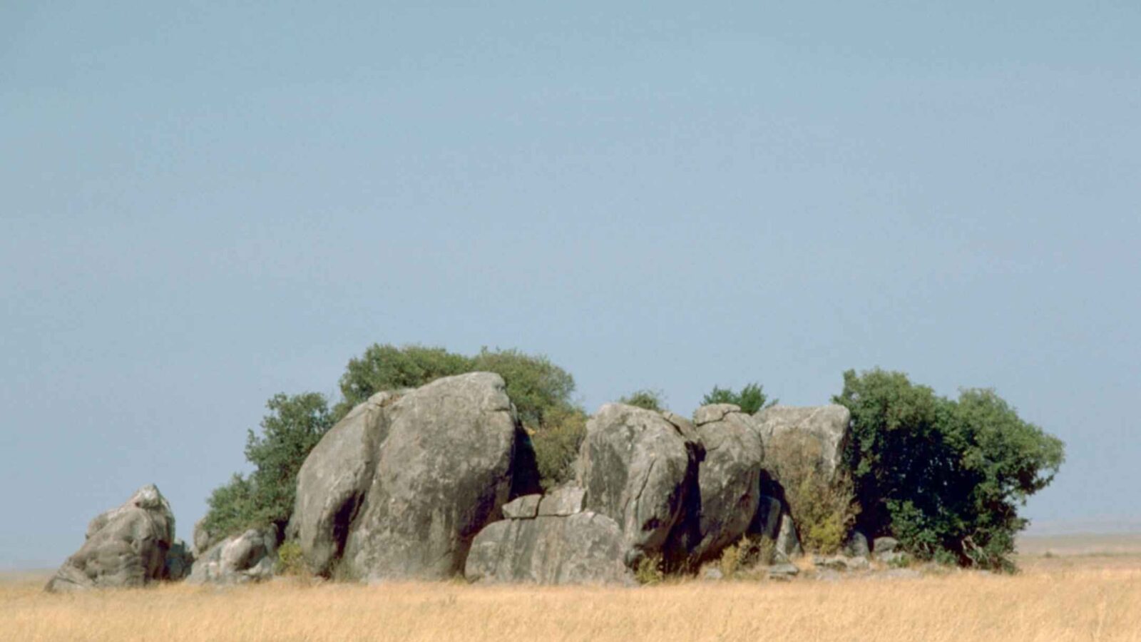 Luxury Tented Camp Safari, Serengeti and Ngorongoro