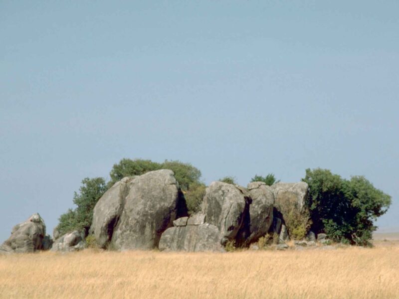 Luxury Tented Camp Safari, Serengeti and Ngorongoro