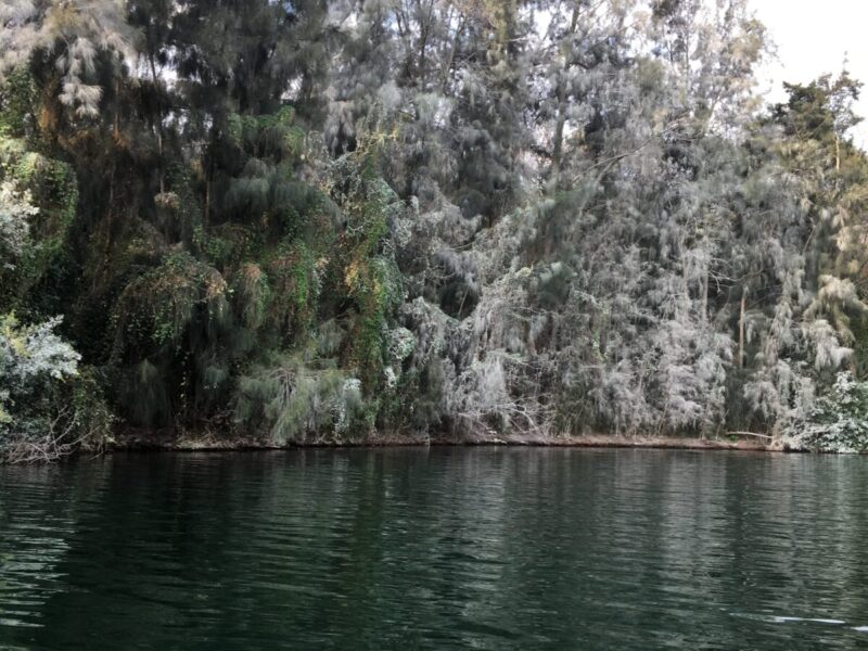 6-Day Rwanda Highlights: Kigali, Volcanoes and Lake Kivu