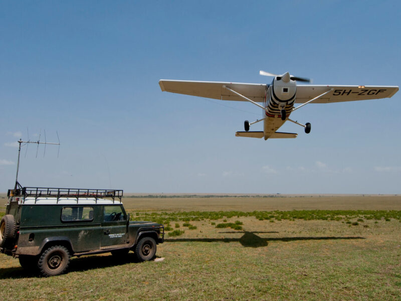 Ultra-Luxury East Africa Safari: Private Villas and Fly-In Camps