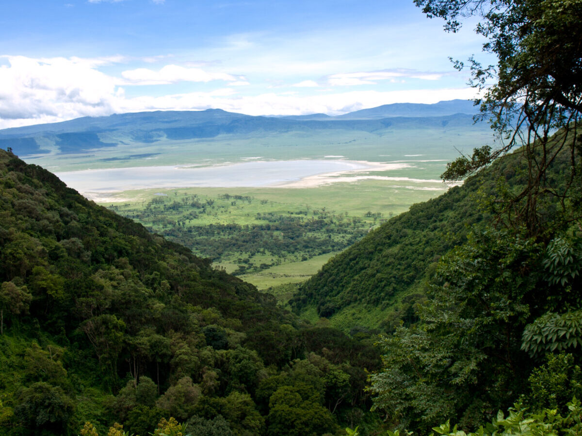 9-Day East Africa Wildlife Discovery Package
