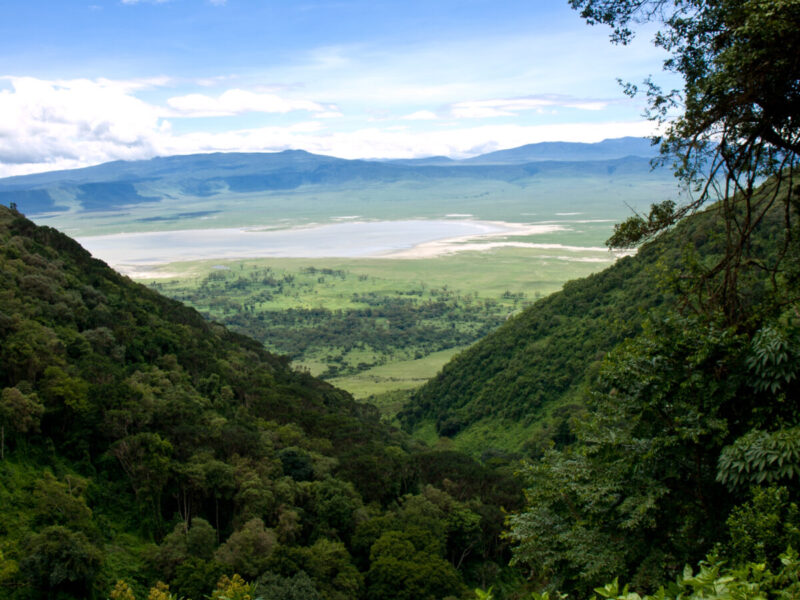9-Day East Africa Wildlife Discovery Package