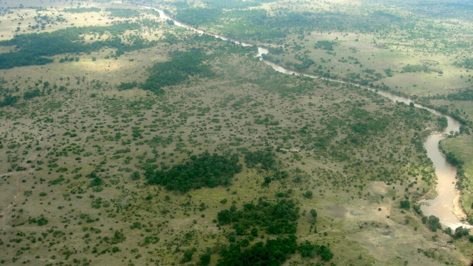 11-Day Uganda, Rwanda and Tanzania Primate and Migration Circuit