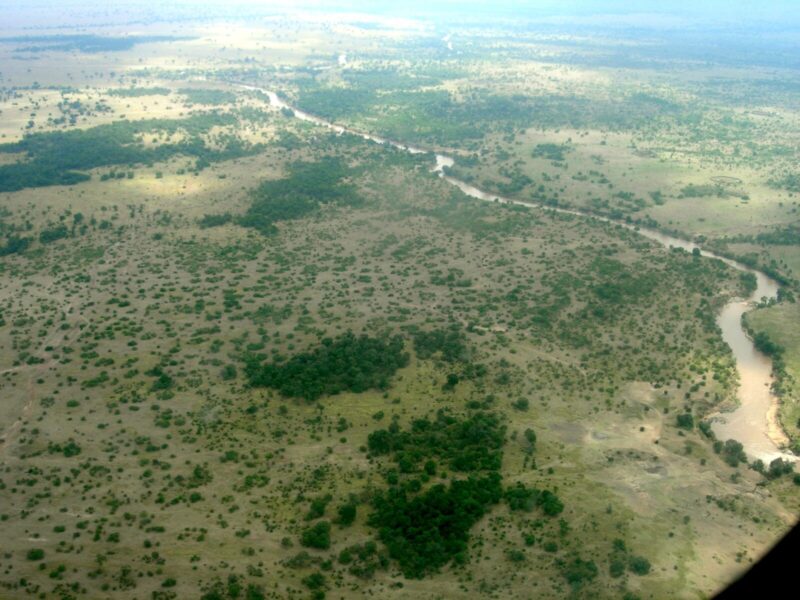 11-Day Uganda, Rwanda and Tanzania Primate and Migration Circuit