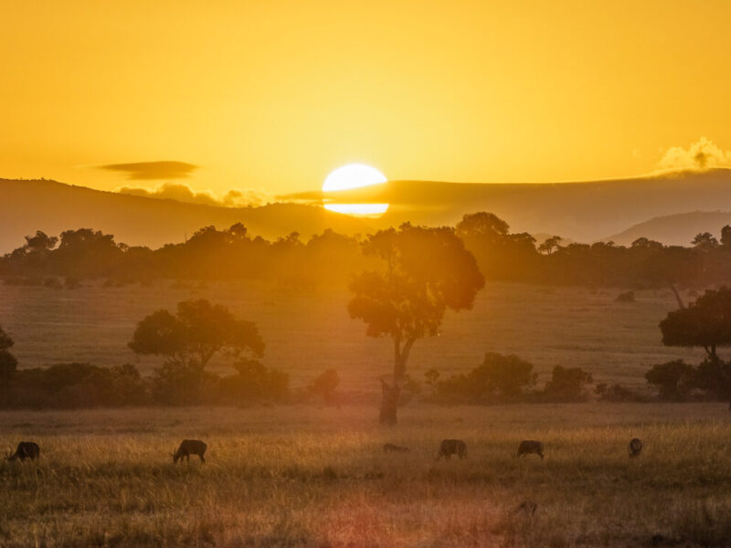 Safari and Zanzibar Honeymoon Combo