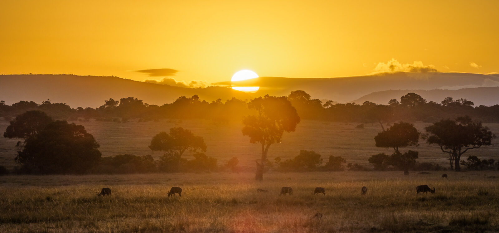 Safari and Zanzibar Honeymoon Combo