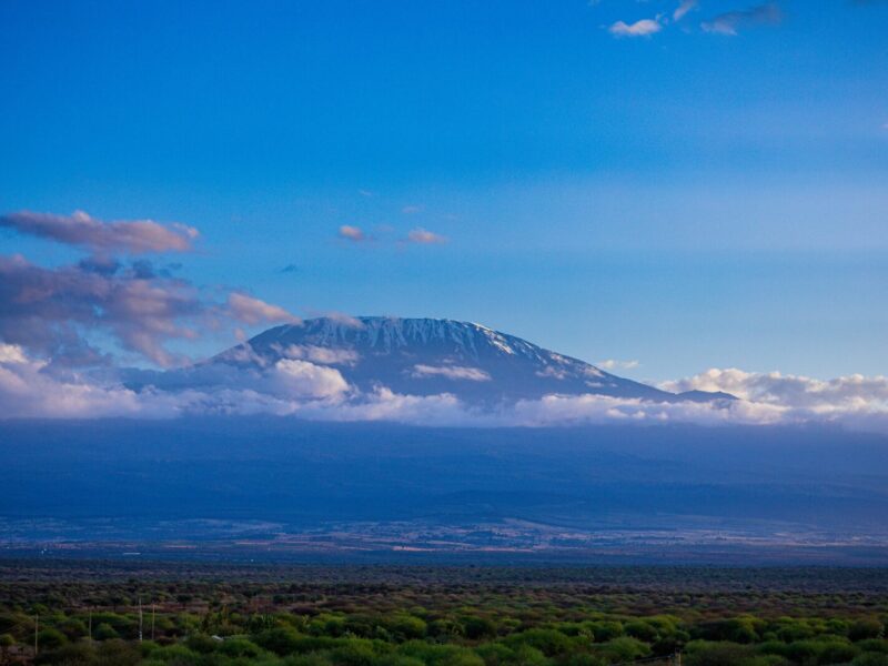 8-Day Kilimanjaro Climb, Lemosho Route