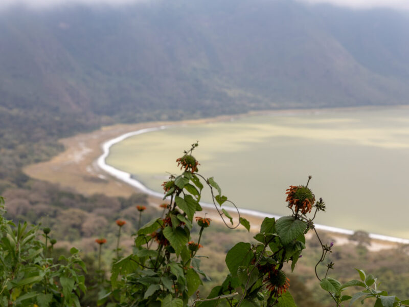 8-Day Ngorongoro Highlands and Empakaai Crater Safari