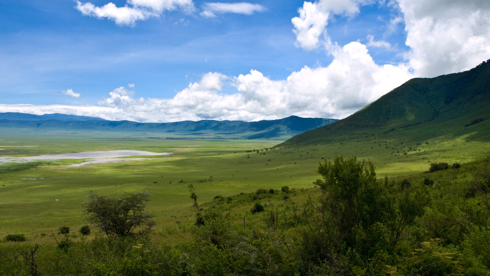 5-Day Serengeti and Ngorongoro Crater Safari