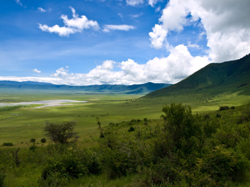 5-Day Serengeti and Ngorongoro Crater Safari