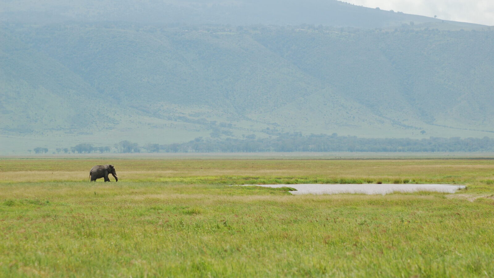 8-Day Tanzania Explorer: Tarangire, Serengeti and Ngorongoro