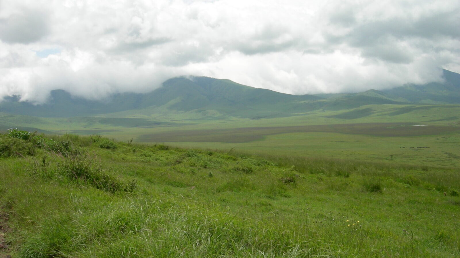 8-Day Classic Safari Sampler: Kenya and Tanzania
