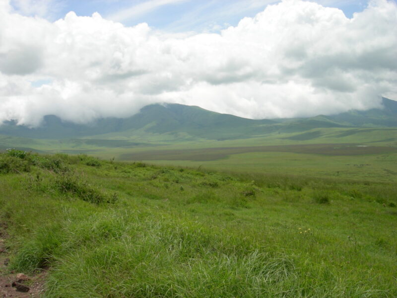 8-Day Classic Safari Sampler: Kenya and Tanzania