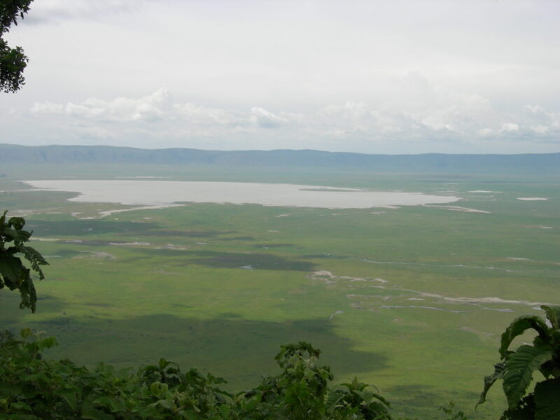 13-Day Tanzania Northern and Southern Circuit Combined Safari