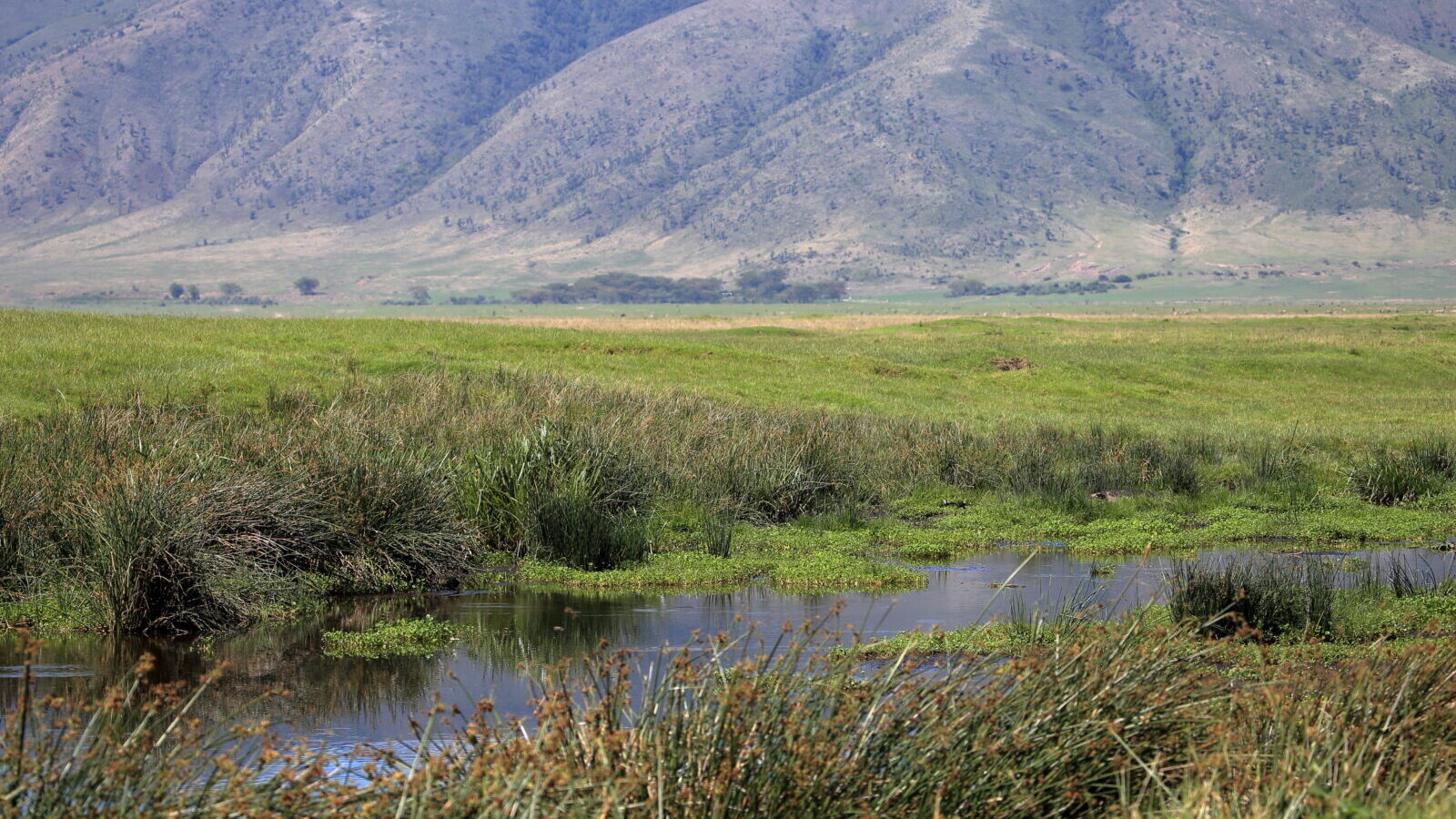 3-Day Ngorongoro Crater Short Safari