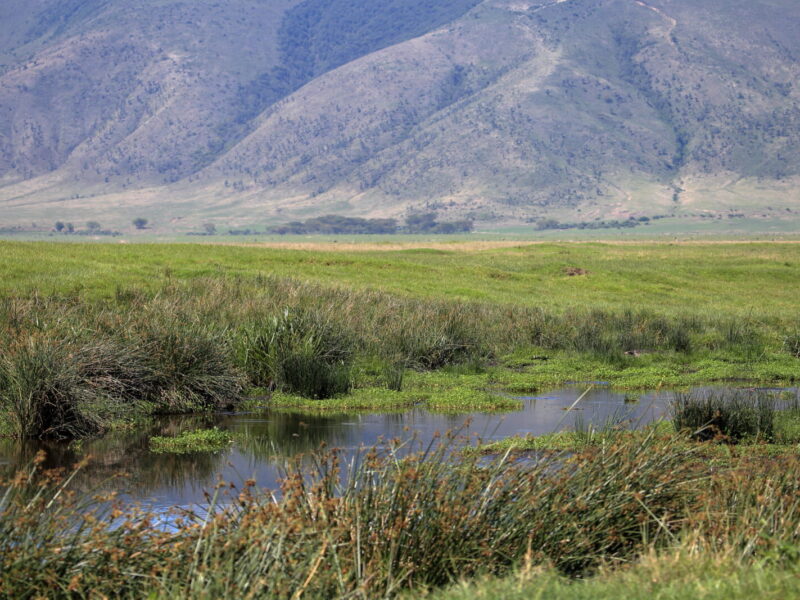 3-Day Ngorongoro Crater Short Safari