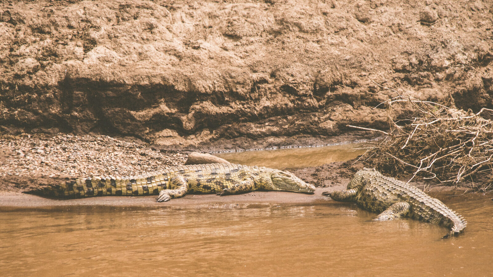 6-Day Walking Safari, South Luangwa Style Trails in East Africa
