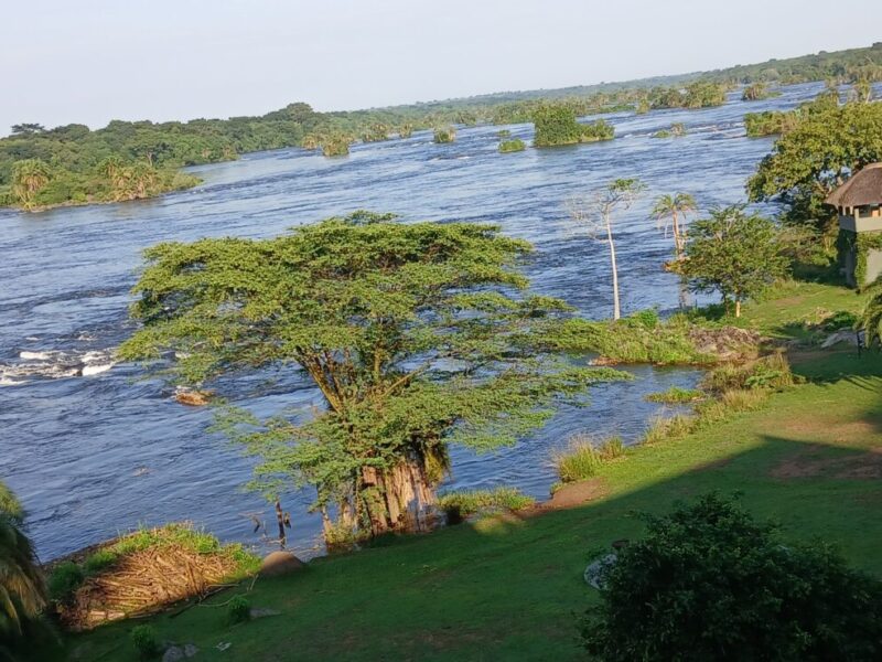 18-Day East Africa Grand Safari: Uganda, Rwanda, Kenya and Tanzania