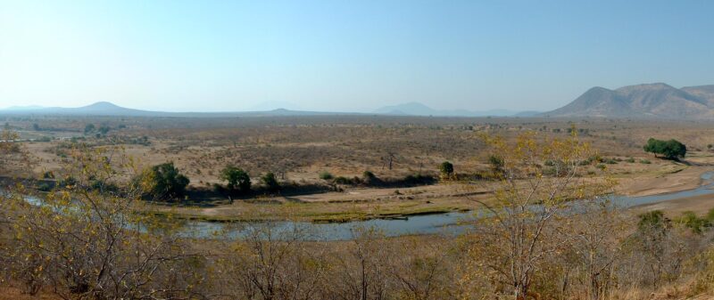 9-Day Tanzania Fly-In Safari: Serengeti, Ruaha and Selous