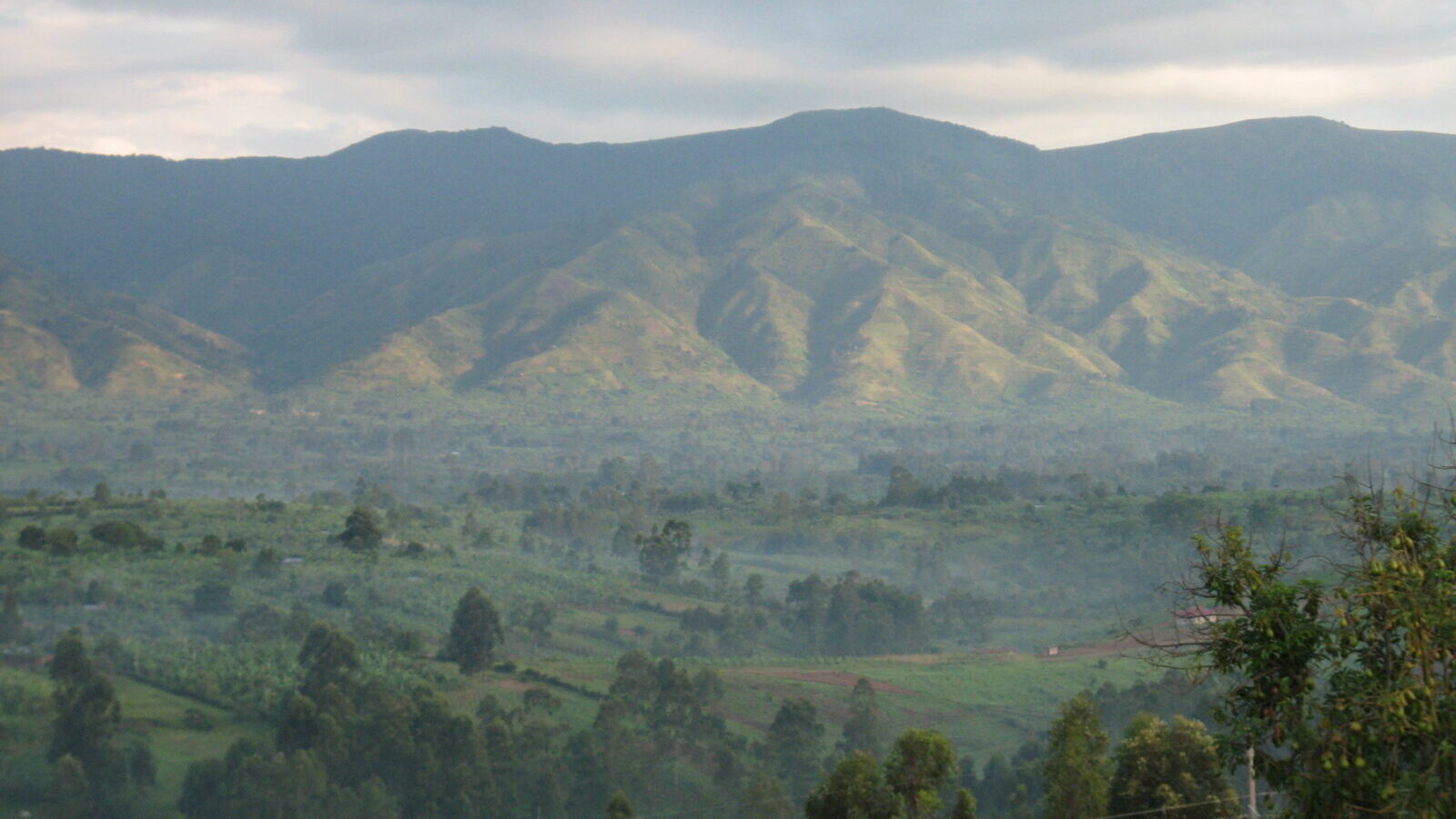 Murchison Falls Wildlife and Waterfall Safari