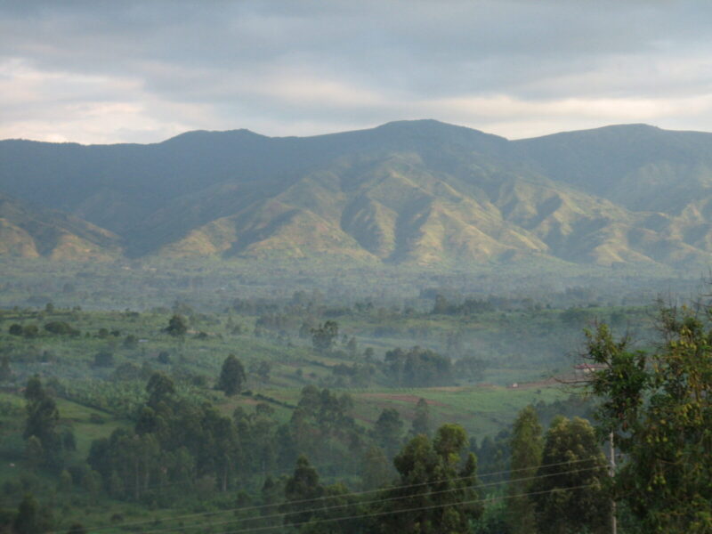 Murchison Falls Wildlife and Waterfall Safari