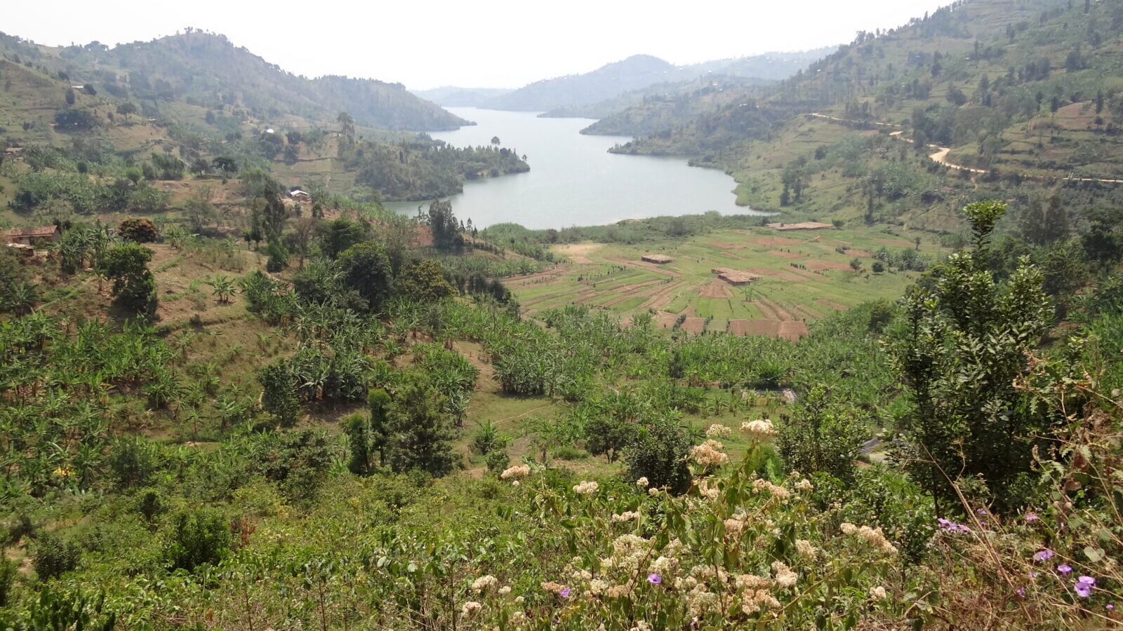5-Day Rwanda Explorer: Volcanoes, Kigali and Lake Kivu