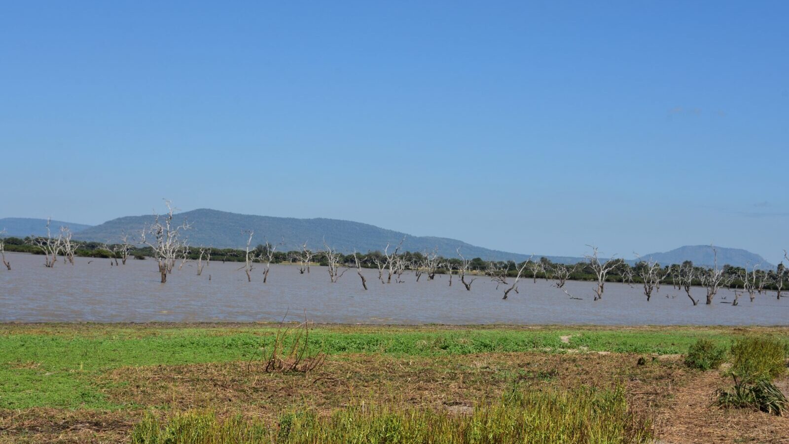 8-Day Selous and Ruaha Fly-In Safari, Tanzania