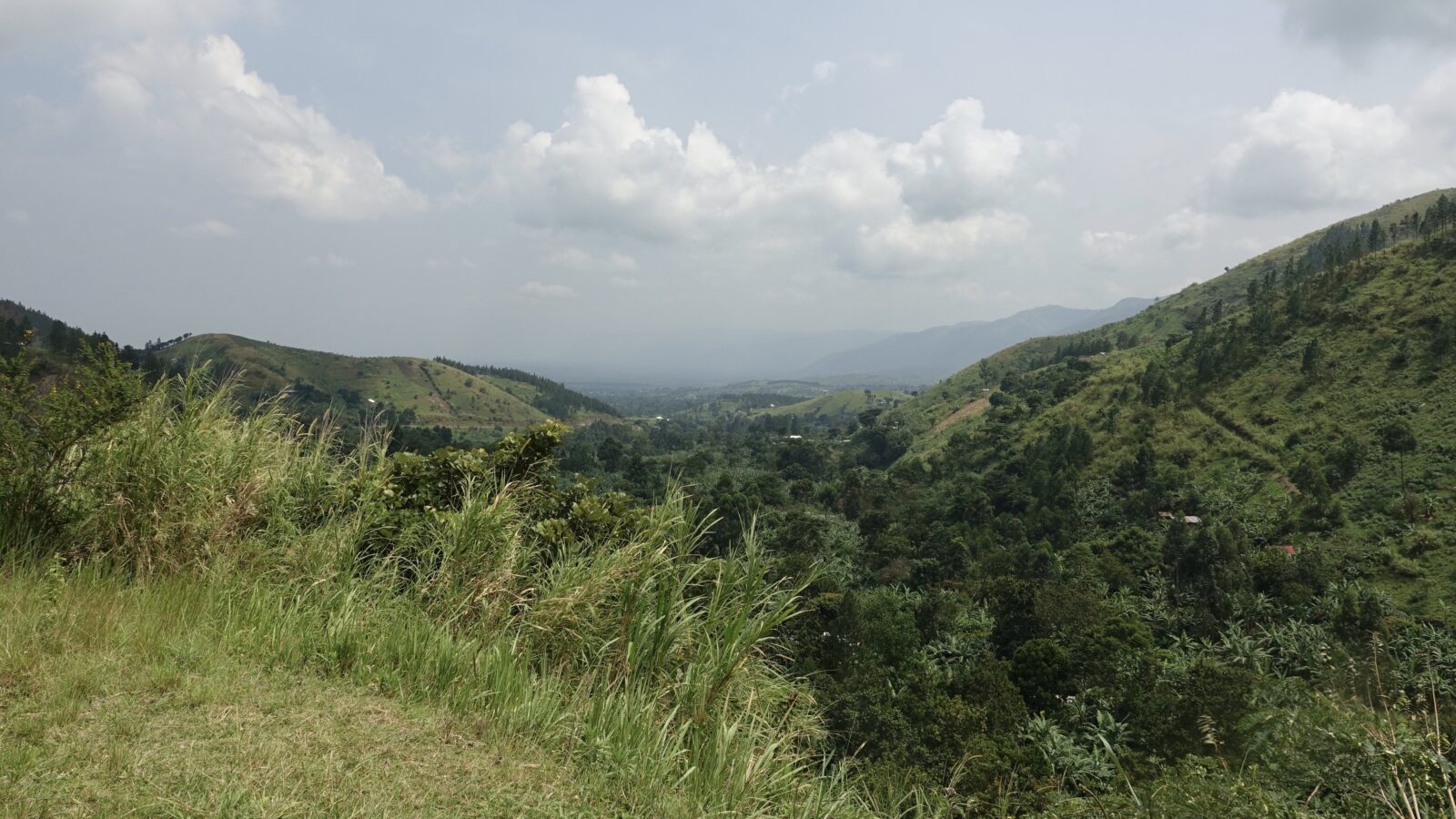 Semuliki National Park: Uganda’s Most Biodiverse and Underrated Destination
