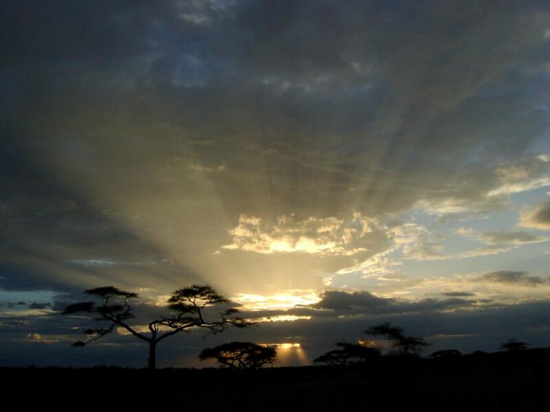 15-Day Ultimate East Africa Bucket List Package