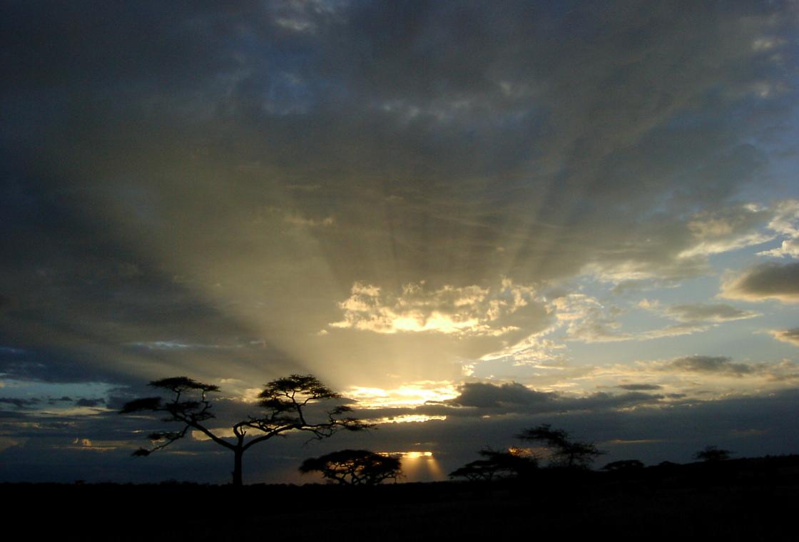 15-Day Ultimate East Africa Bucket List Package
