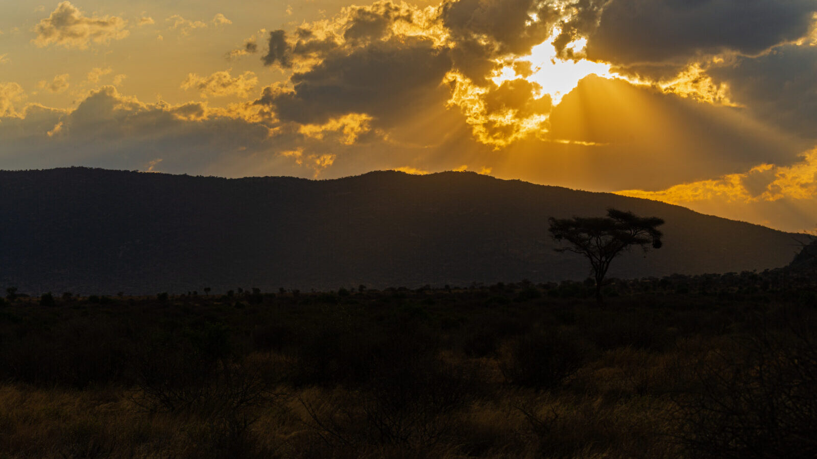 10-Day East Africa Signature Collection Package