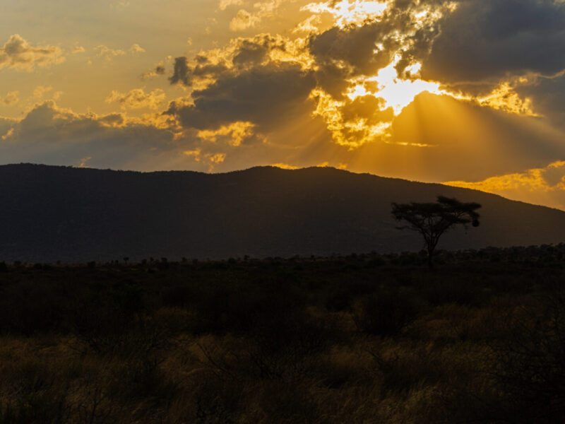 10-Day East Africa Signature Collection Package