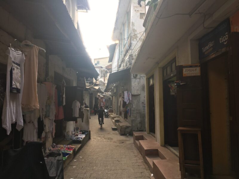 9-Day Kenya and Zanzibar Safari and Beach Combo