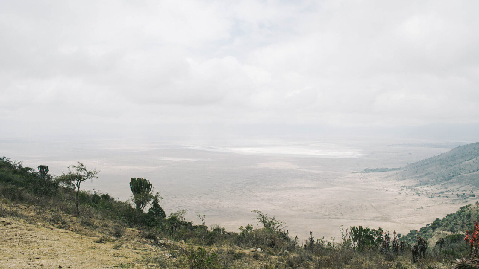 Affordable East Africa Overland Safari