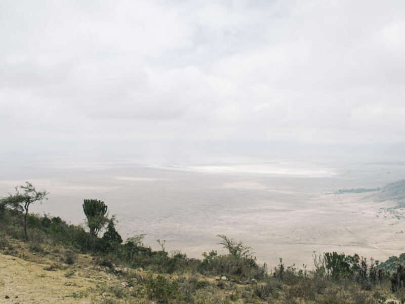 Affordable East Africa Overland Safari
