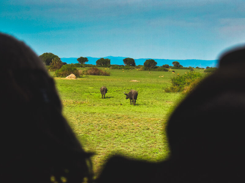 21-Day Grand East Africa Odyssey