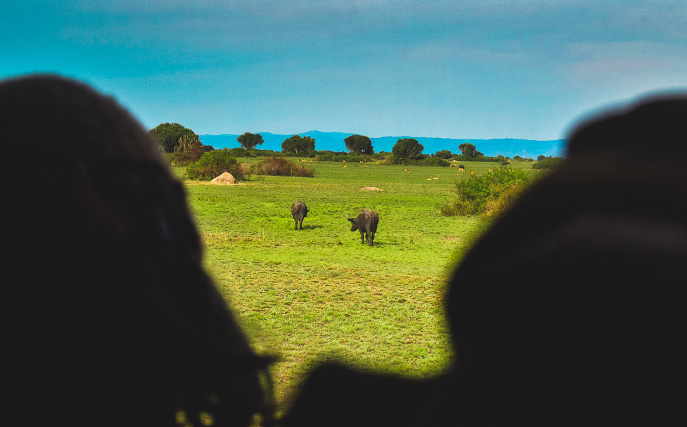 21-Day Grand East Africa Odyssey